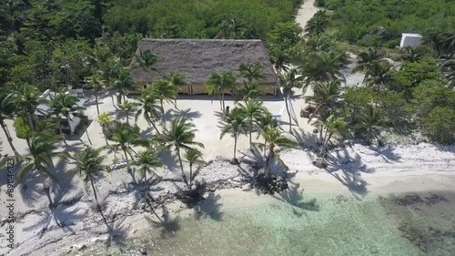 drone shoot in the caribbean beach with pamsl trees and wood house