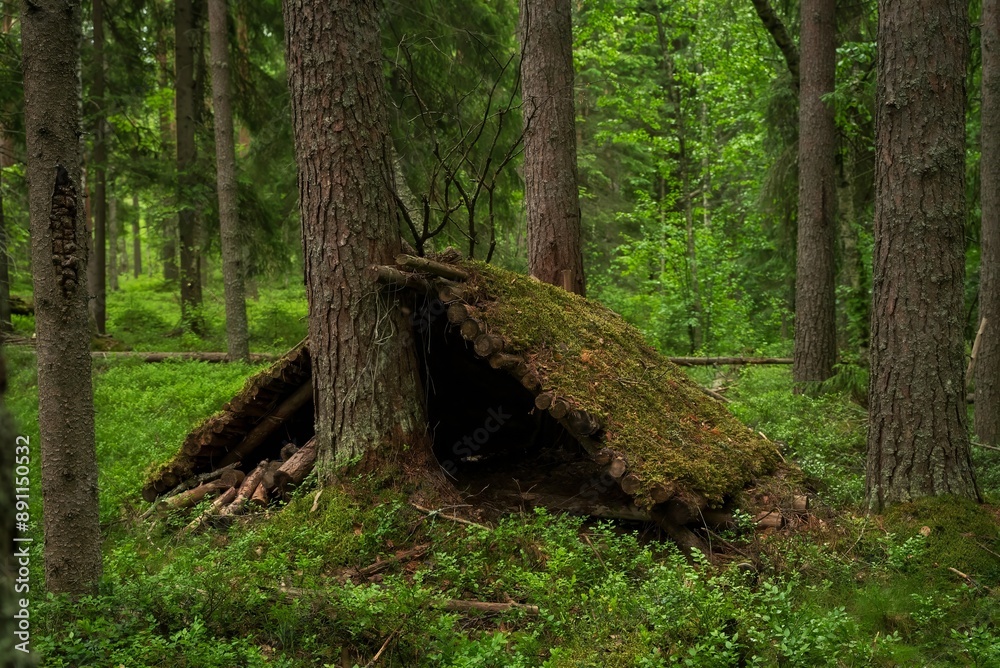 Survival in the wild. Makeshift shelter in the forest. Survival in the wild. Makeshift shelter in the forest.