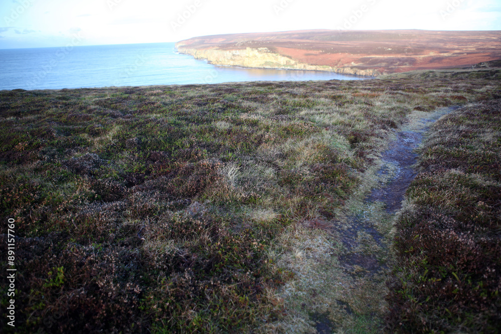 Dunnet head coastal walk - peninsula in Caithness - most northerly point of the mainland of Great Britain - Caithness - Scotland - UK