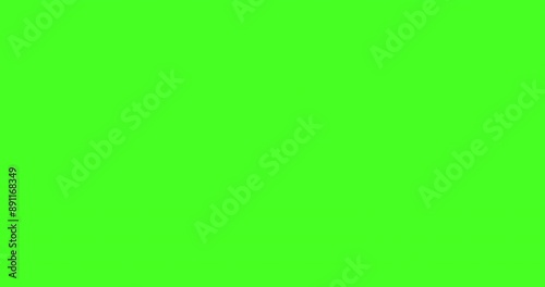 Computer mouse pixel cursor click on green background, flat 4K animation.