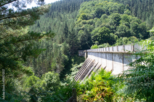 Presa de embalse abandonada entre bosques