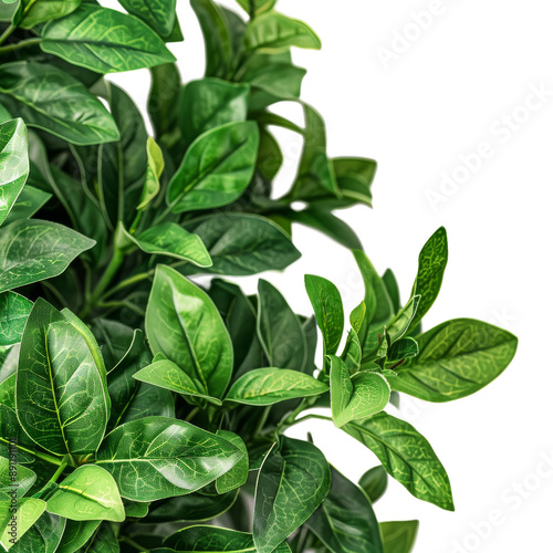 Intricate macro shot of a botanical bush