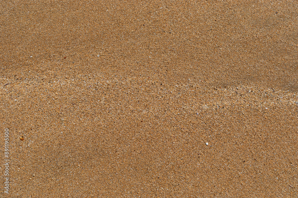 Beach sand texture with small pieces of broken shells. Beach sand texture with small pieces of broken shells.