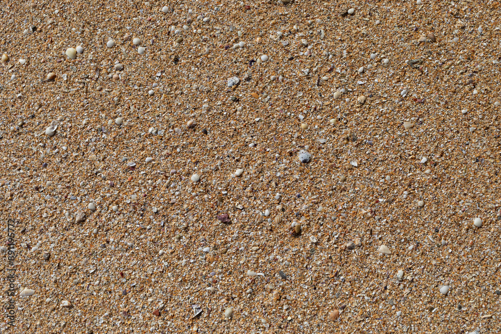 Beach sand texture with small pieces of broken shells. Beach sand texture with small pieces of broken shells.
