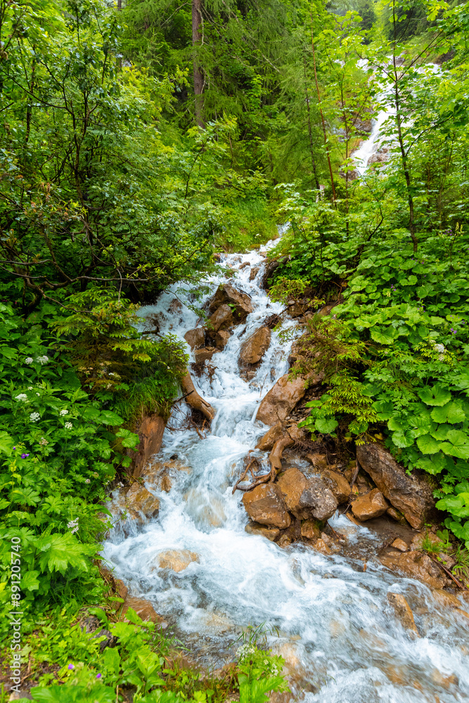 Serene Alpine Landscape with Lush Vegetation and Zemmbach Waterfall Serene Alpine Landscape with Lush Vegetation and Zemmbach Waterfall