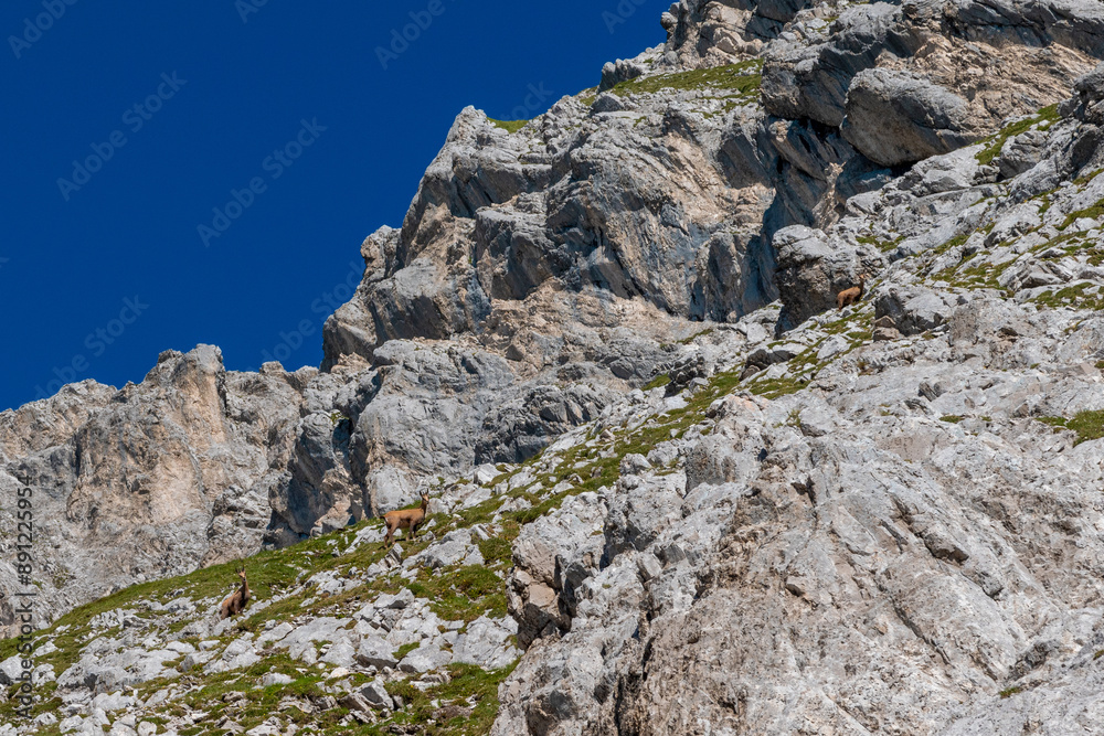 Alpine Hiking Path: Follow the Markers (Zillertal, Austria) Alpine Hiking Path: Follow the Markers (Zillertal, Austria)