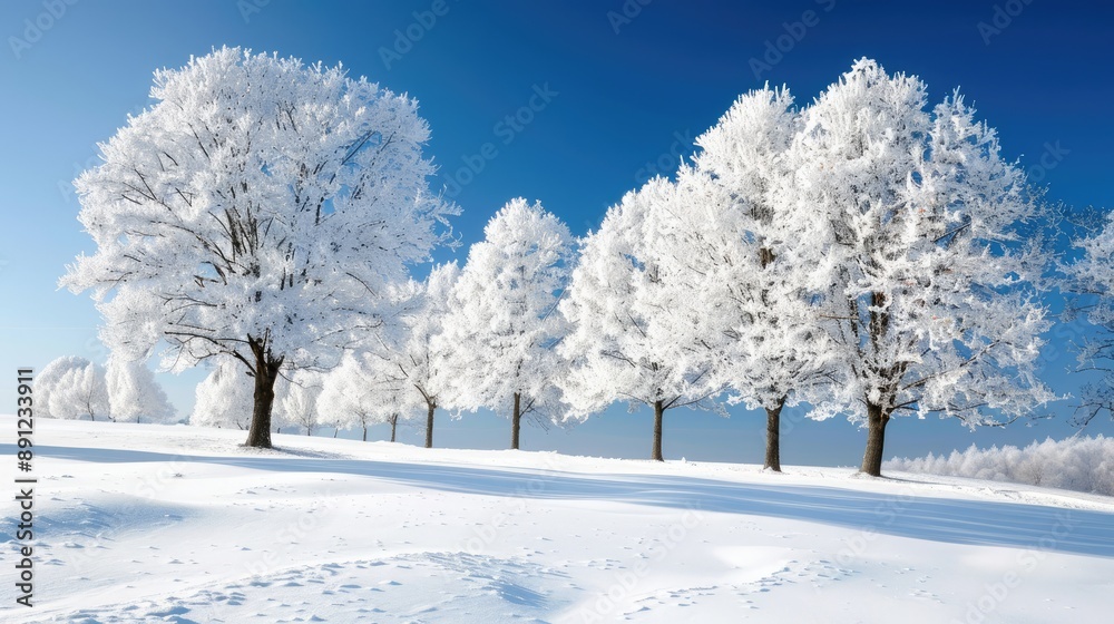 Winter landscape with snow-covered trees and a bright blue sky Winter landscape with snow-covered trees and a bright blue sky