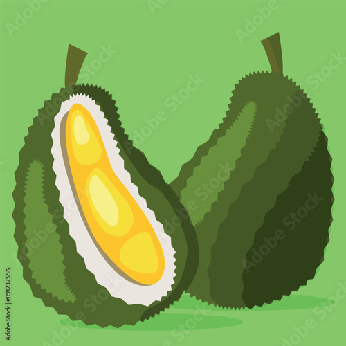 Tropical exotic durian fruit in vector. Juicy Juicy fruit.