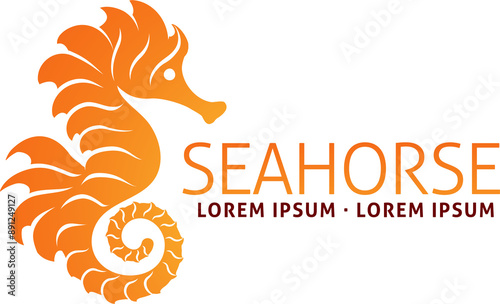 Seahorse Fish Sea Horse Ani...