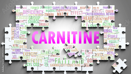 Carnitine as a complex subject, related to important topics. Pictured as a puzzle and a word cloud made of most important ideas and phrases related to carnitine. ,3d illustration photo