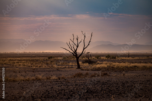 Namib desert, Namibia, dunes, oryx
