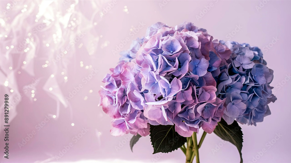 Fototapeta premium Beautiful minimalist hydrangeas bouquet with soft pastel background, perfect for celebrations and serene decor themes.