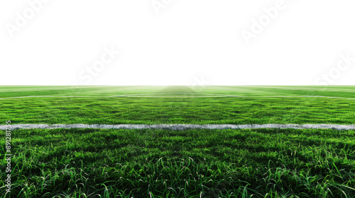 Green grass field photo