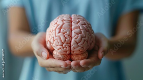 Close-up of Human Brain Model Held in Hands - Medical Education, Neuroscience, and Anatomy Concept