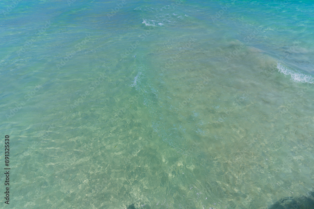 water in the sea water in the sea