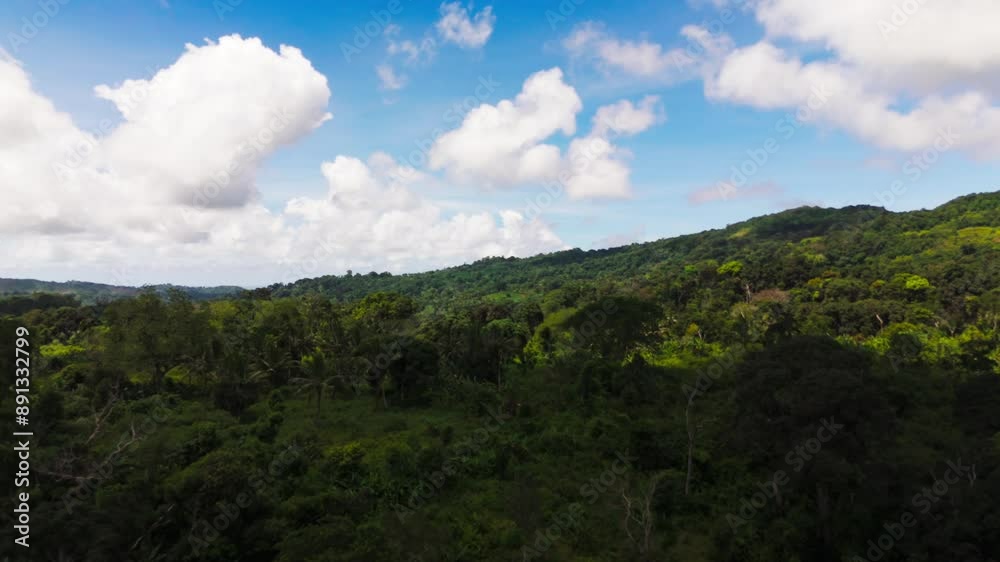 Trees in tropical jungle with blue sky above them. This drone footage is from the tropical island of Mayotte, in the Indian Ocean. It was filmed in May 2024