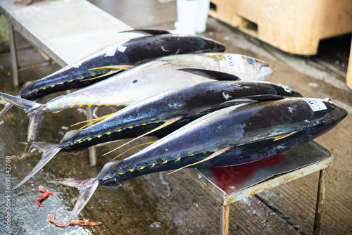 фотографія fresh catch of yellowfin tuna