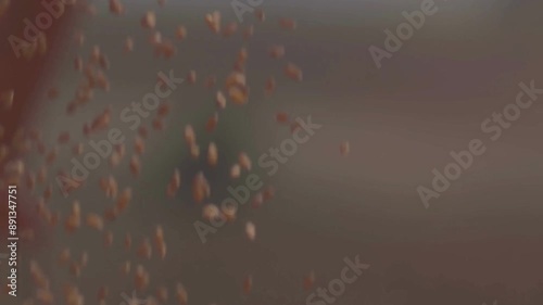 Wheat spill from top to bottom close-up (depth of field)
 photo