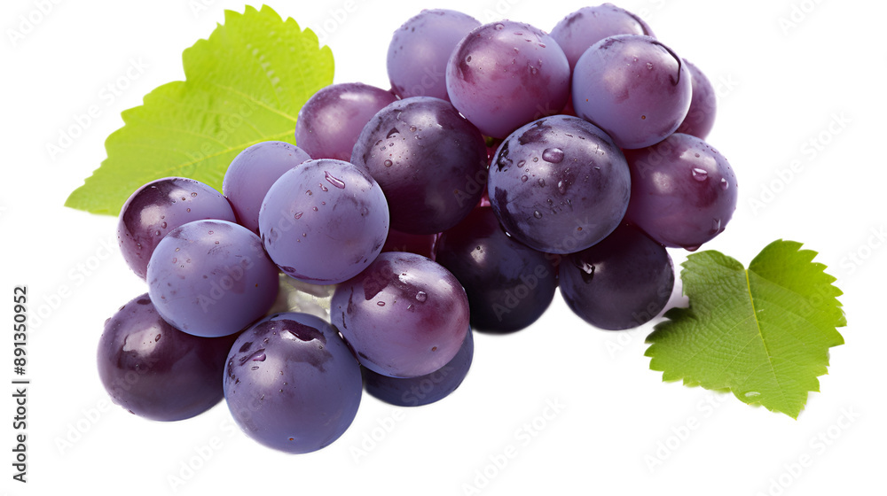 Fototapeta premium a bunch of grapes with leaves on a white background