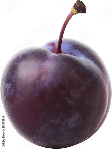 A ripe, purple plum with a smooth skin and a short stem.
 photo