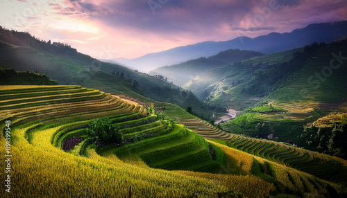 The importance of agricultural work, cultivation and food industry in magnificent rice fields