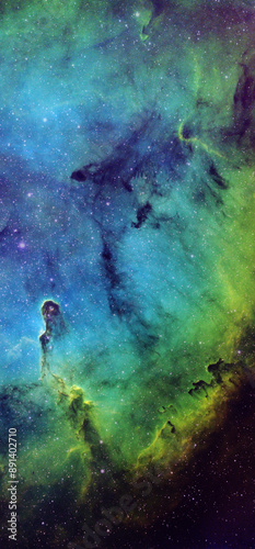 IC1396 Misty Clover