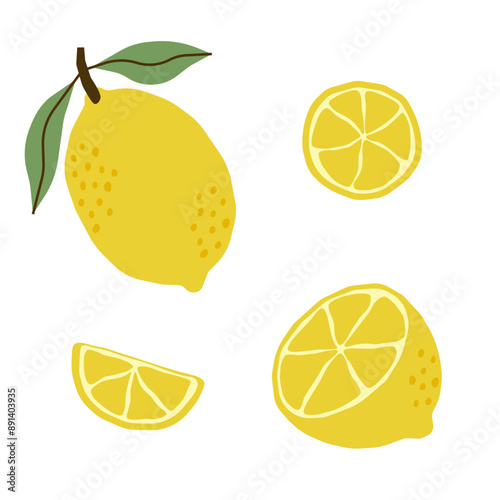 Whole and slice lemon with leaves vector set for banners, postcards, flyers, clothes.