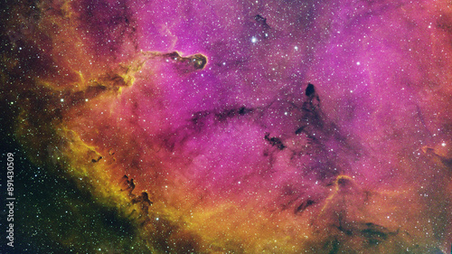 IC1396