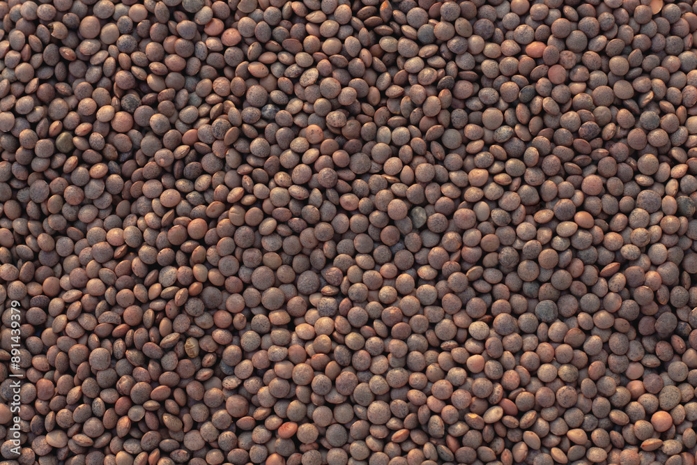 Huge variety of dried lentils ,legumes and cereals shot from above on white background Huge variety of dried lentils ,legumes and cereals shot from above on white background