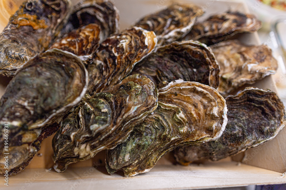 A dozen fresh, closed oysters lie in a wooden box. A dozen fresh, closed oysters lie in a wooden box.