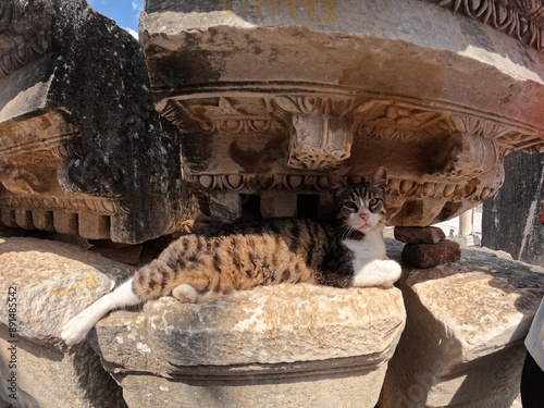 Plakat w ramie Ephesus