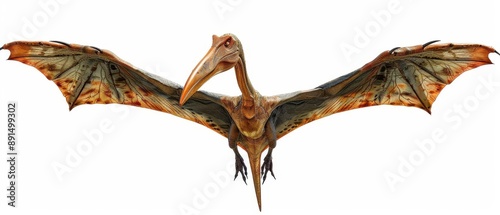 Realistic 3D rendering of a flying pterodactyl with wings spread, showcasing detailed texture and vivid colors, isolated on a white background.