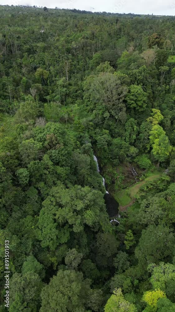 Aerial view of Banyumala Waterfall in Buleleng, Bali, Indonesia Aerial view of Banyumala Waterfall in Buleleng, Bali, Indonesia