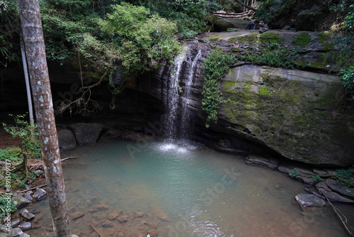 Serene Buderim Waterfall Flowing into Tranquil Forest Pool photo