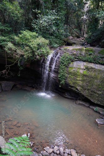 Serene Buderim Waterfall Flowing into Tranquil Forest Pool photo