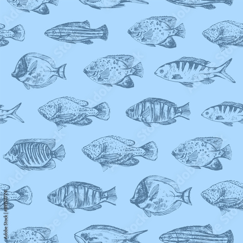 Vector sea animals seamless pattern. Ocean coral fish in blue on white.