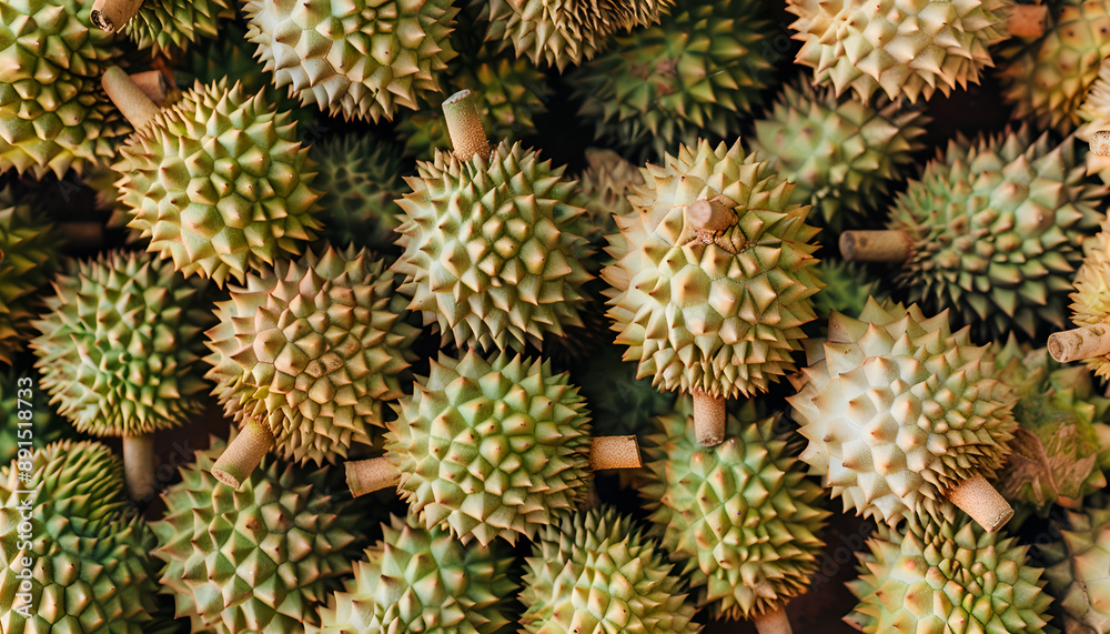 Fresh durian fruit at the market in large quantities. Background texture of durians. King of fruit Fresh durian fruit at the market in large quantities. Background texture of durians. King of fruit
