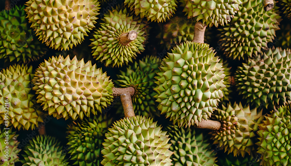 Fresh durian fruit at the market in large quantities. Background texture of durians. King of fruit Fresh durian fruit at the market in large quantities. Background texture of durians. King of fruit