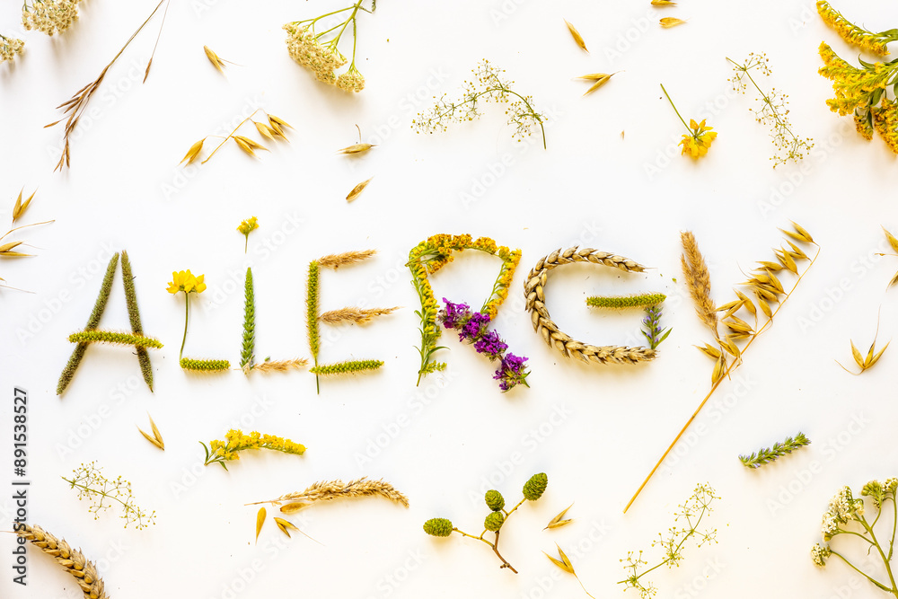 The word allergy composed of allergenic plants. Light background, pollen and grass allergy concept