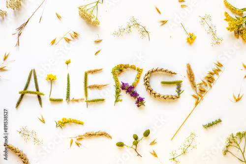 Obraz na płótnie The word allergy composed of allergenic plants. Light background, pollen and grass allergy concept w salonie