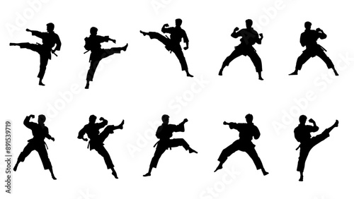karate fight Martial arts