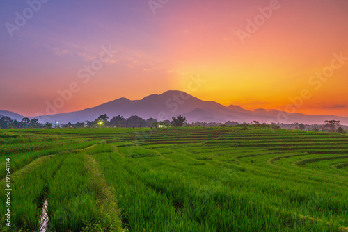 indonesia beauty landscape paddy fields in north bengkulu natural beautiful morning view from Indonesia of mountains and tropical forest