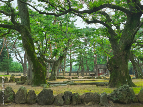 beautiful old palace in korea