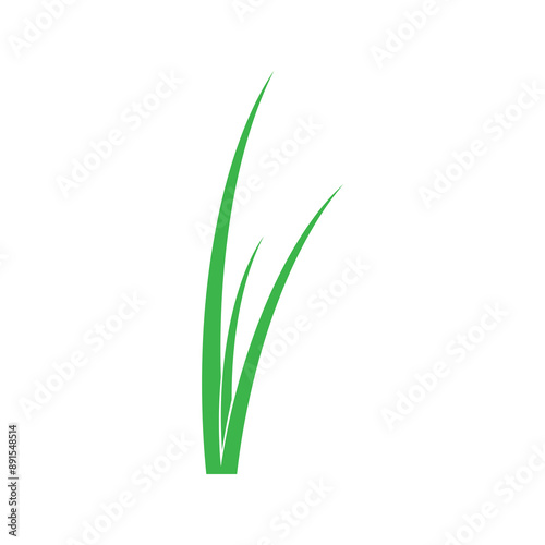 Leaf icon
