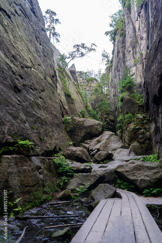 a gorge (cliff) called Hell on the Great Rift Trail (Lower Silesia, Dolina Kłodzka, Kudowa Zdroj). Vertical Photo photo