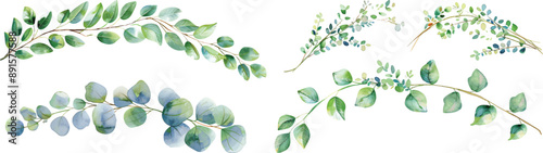 Set collection of rustic arch twig leaves tree branches wreath hand drawn watercolor design resources elements