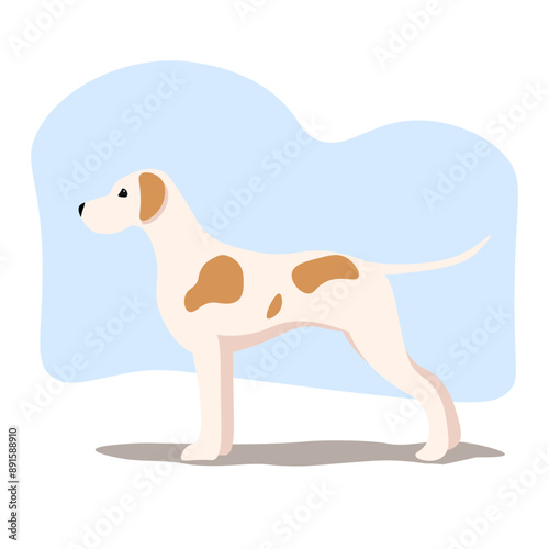 Vector illustration of an English Pointer