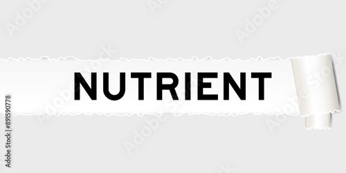 Ripped gray paper background that have word nutrient under torn part