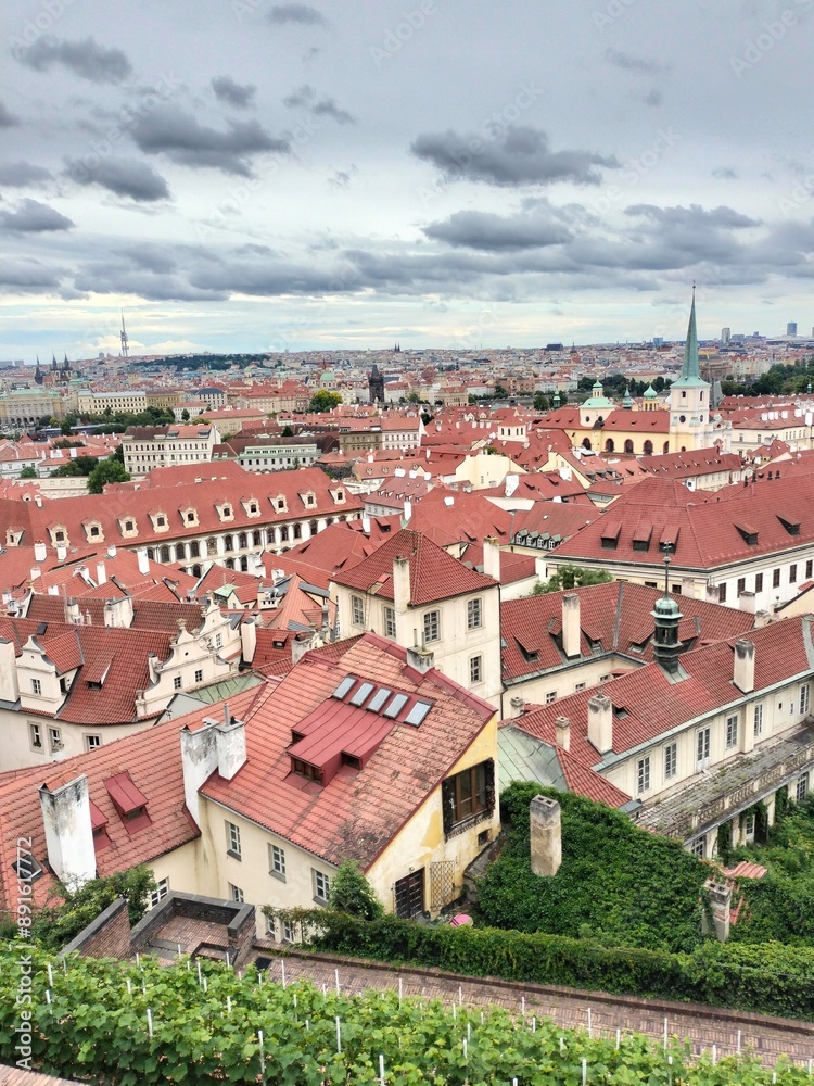 Obraz premium panorama