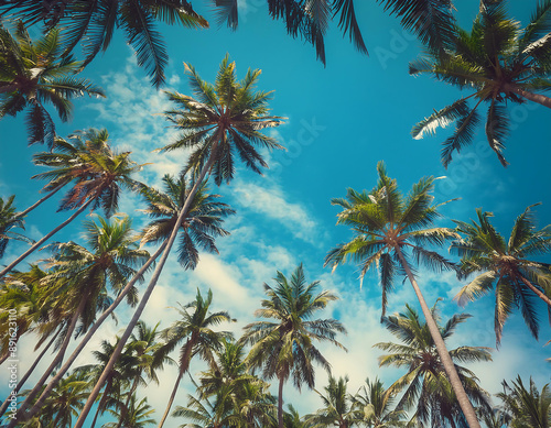 view blue sky palm trees evoking tropical beach travel